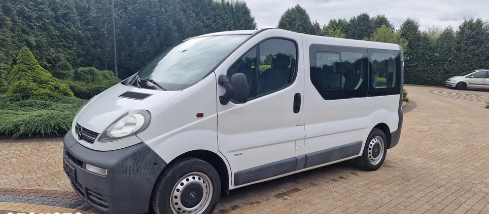 Opel Vivaro cena 27900 przebieg: 250000, rok produkcji 2005 z Świecie małe 154